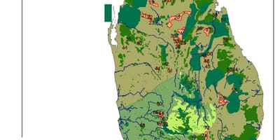 Mapa ng Sri Lankan gubat